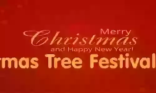Christmas Tree Festival from 12th. December